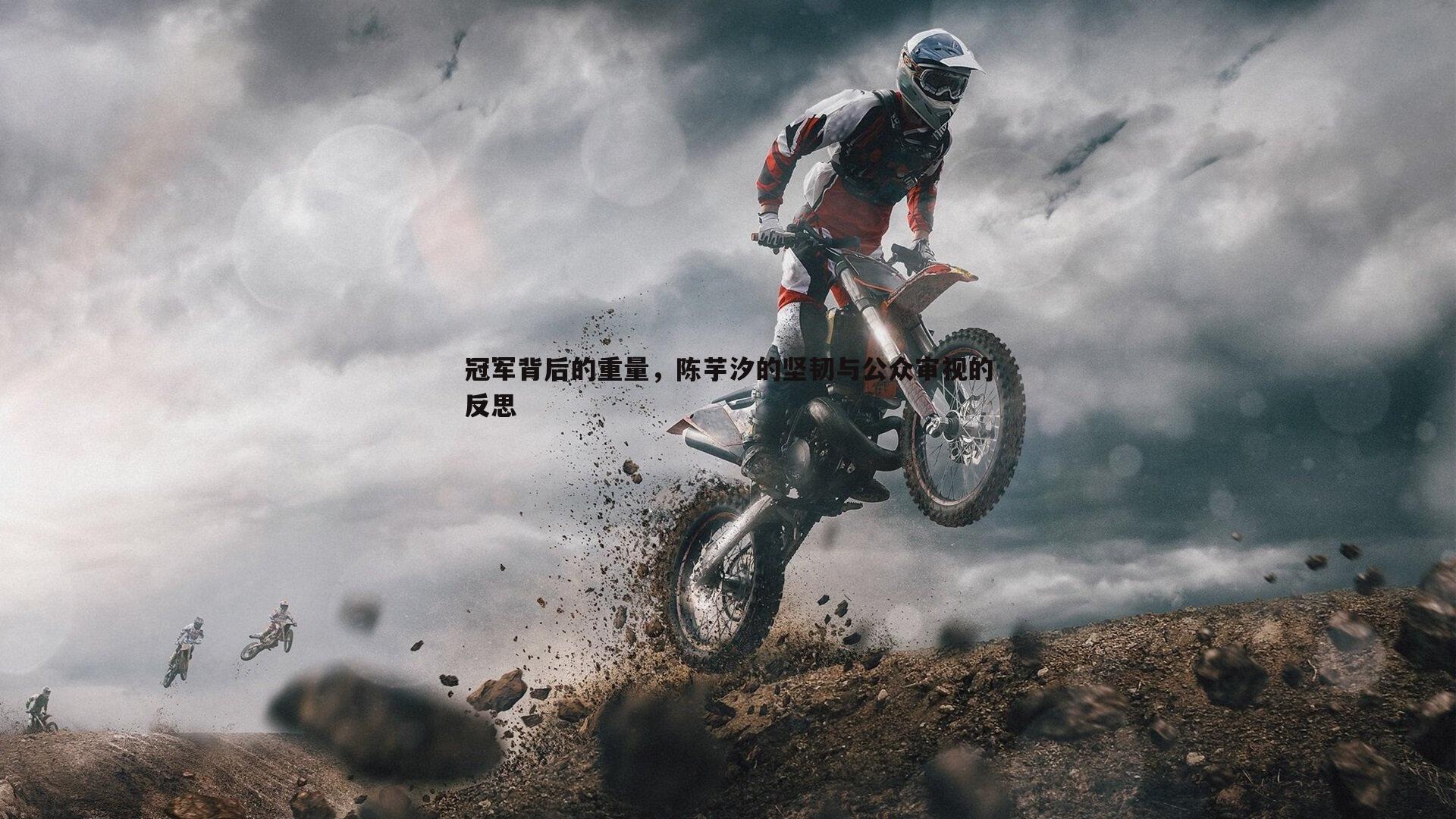 冠军背后的重量，陈芋汐的坚韧与公众审视的反思